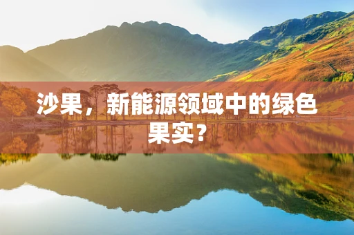 沙果，新能源领域中的绿色果实？