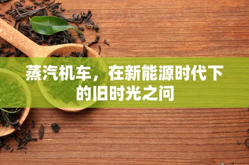 蒸汽机车，在新能源时代下的旧时光之问