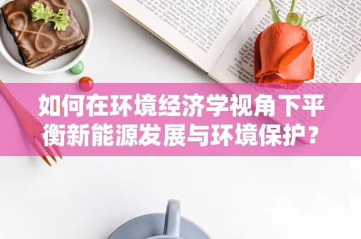 如何在环境经济学视角下平衡新能源发展与环境保护？