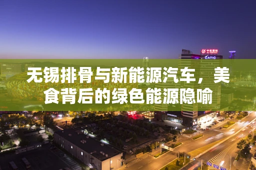 无锡排骨与新能源汽车，美食背后的绿色能源隐喻