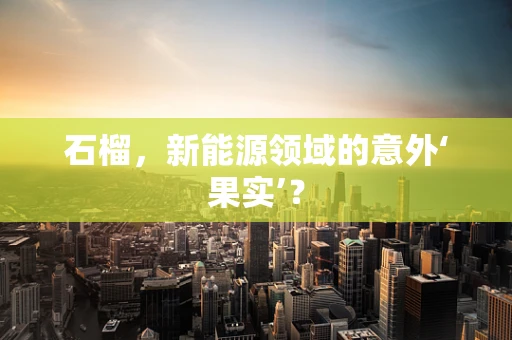 石榴，新能源领域的意外‘果实’？