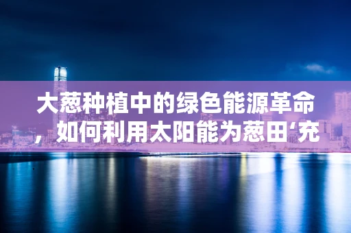 大葱种植中的绿色能源革命，如何利用太阳能为葱田‘充电’？