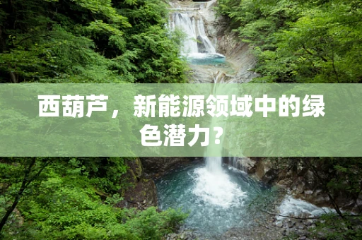 西葫芦，新能源领域中的绿色潜力？