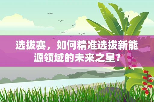 选拔赛，如何精准选拔新能源领域的未来之星？