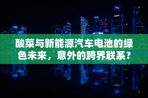 酸菜与新能源汽车电池的绿色未来，意外的跨界联系？