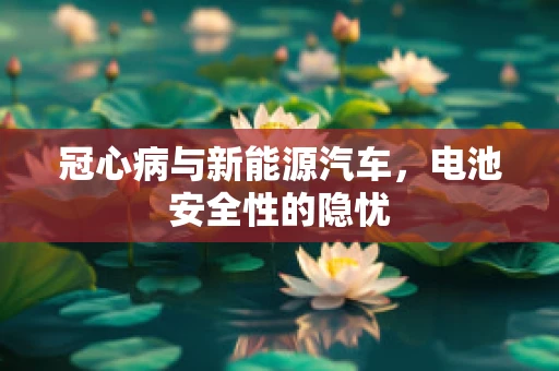 冠心病与新能源汽车，电池安全性的隐忧
