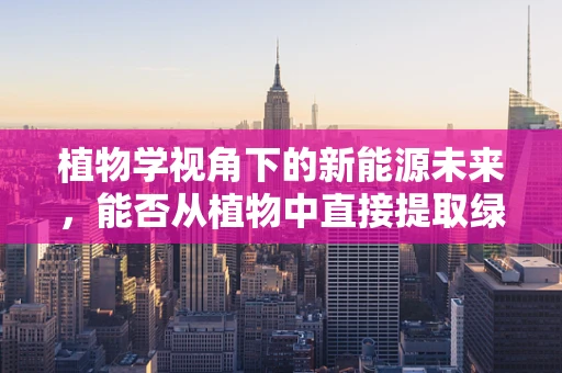 植物学视角下的新能源未来，能否从植物中直接提取绿色能源？