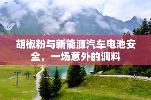 胡椒粉与新能源汽车电池安全，一场意外的调料