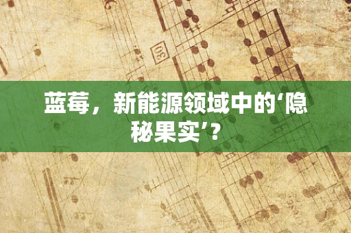 蓝莓，新能源领域中的‘隐秘果实’？