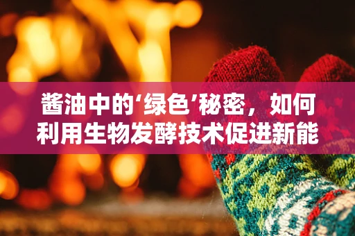 酱油中的‘绿色’秘密，如何利用生物发酵技术促进新能源发展？