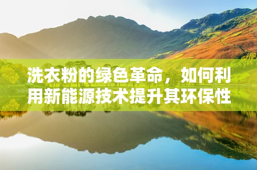 洗衣粉的绿色革命，如何利用新能源技术提升其环保性能？