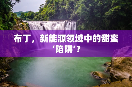 布丁，新能源领域中的甜蜜‘陷阱’？