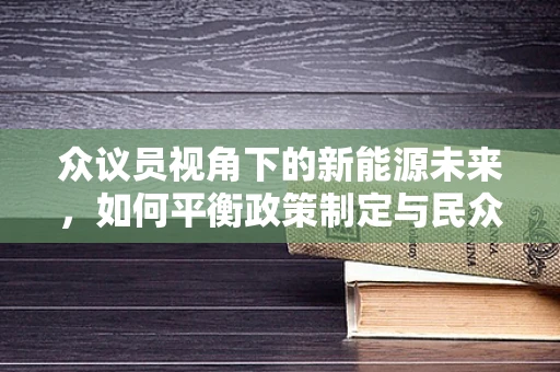 众议员视角下的新能源未来，如何平衡政策制定与民众声音？