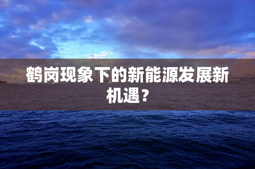 鹤岗现象下的新能源发展新机遇？
