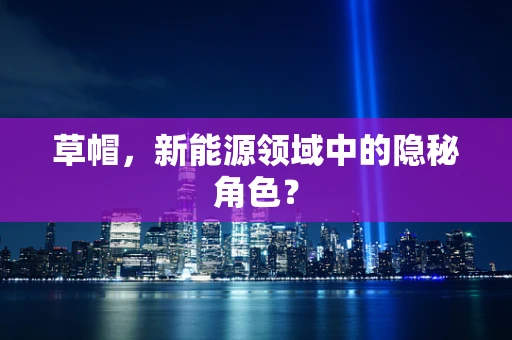 草帽，新能源领域中的隐秘角色？