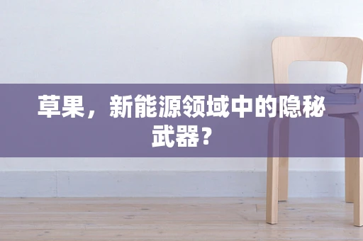 草果，新能源领域中的隐秘武器？