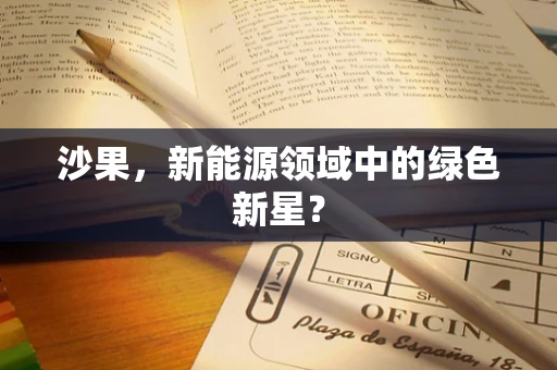 沙果，新能源领域中的绿色新星？