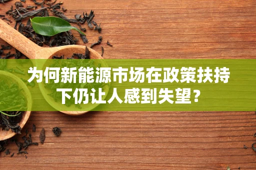 为何新能源市场在政策扶持下仍让人感到失望？