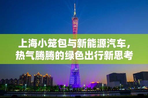 上海小笼包与新能源汽车，热气腾腾的绿色出行新思考