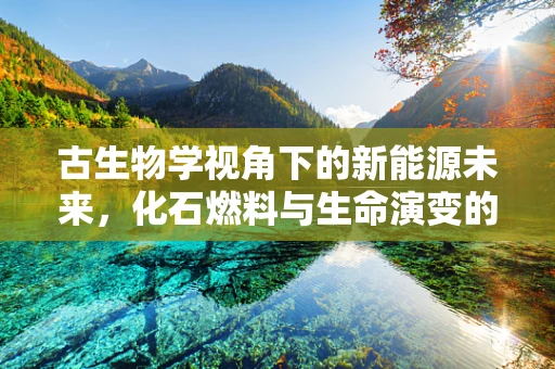 古生物学视角下的新能源未来，化石燃料与生命演变的启示