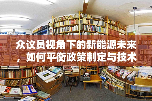 众议员视角下的新能源未来，如何平衡政策制定与技术创新？