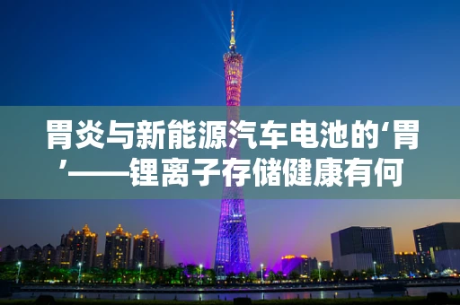 胃炎与新能源汽车电池的‘胃’——锂离子存储健康有何异同？