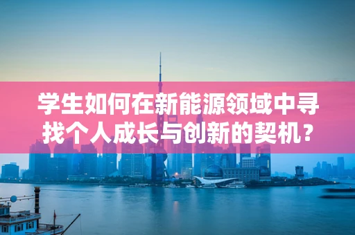 学生如何在新能源领域中寻找个人成长与创新的契机？