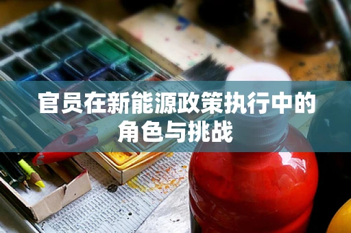 官员在新能源政策执行中的角色与挑战
