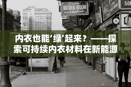 内衣也能‘绿’起来？——探索可持续内衣材料在新能源领域的应用