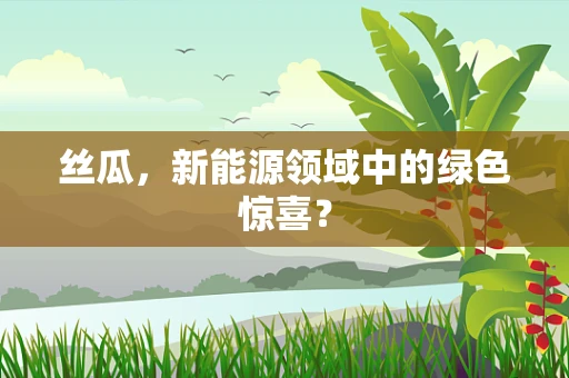 丝瓜，新能源领域中的绿色惊喜？