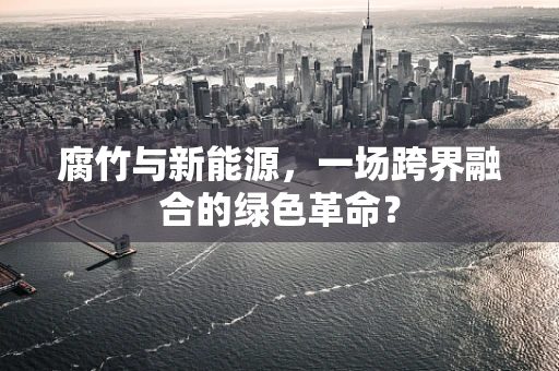 腐竹与新能源，一场跨界融合的绿色革命？