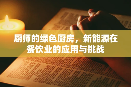 厨师的绿色厨房，新能源在餐饮业的应用与挑战