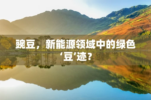 豌豆，新能源领域中的绿色‘豆’迹？