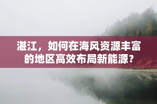 湛江，如何在海风资源丰富的地区高效布局新能源？