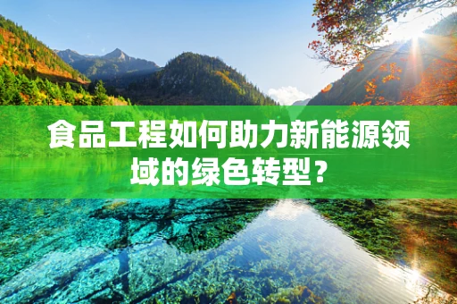 食品工程如何助力新能源领域的绿色转型？