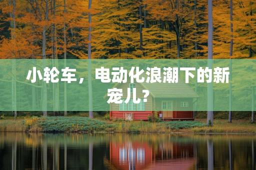 小轮车，电动化浪潮下的新宠儿？