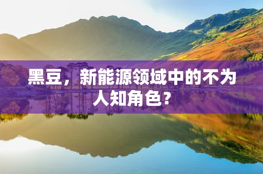 黑豆，新能源领域中的不为人知角色？