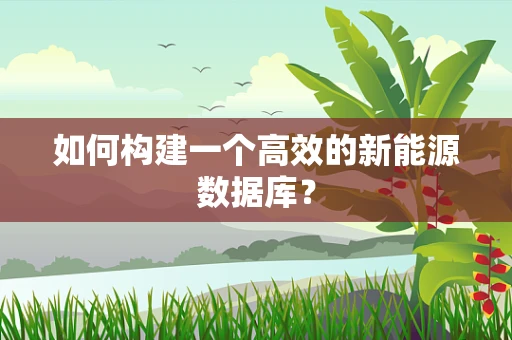 如何构建一个高效的新能源数据库？