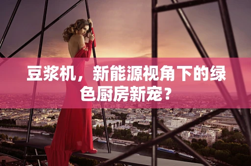 豆浆机，新能源视角下的绿色厨房新宠？