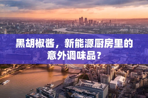 黑胡椒酱，新能源厨房里的意外调味品？