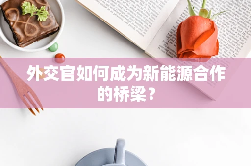 外交官如何成为新能源合作的桥梁？