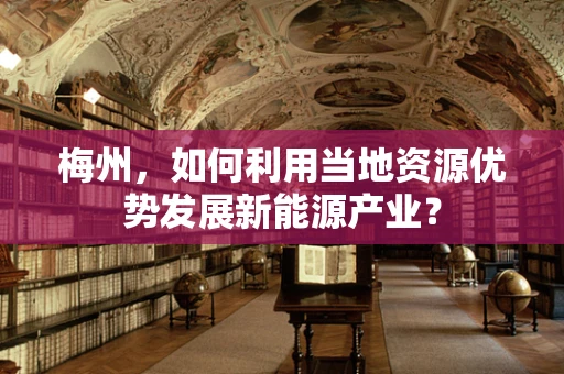 梅州，如何利用当地资源优势发展新能源产业？