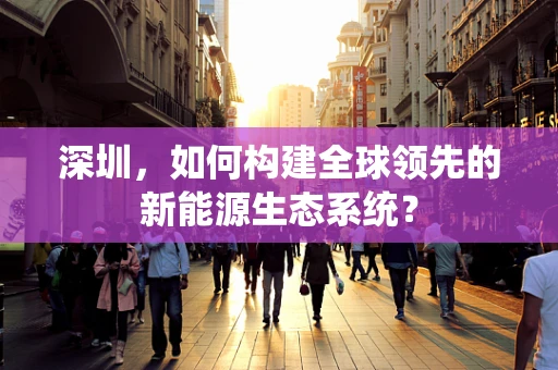 深圳，如何构建全球领先的新能源生态系统？