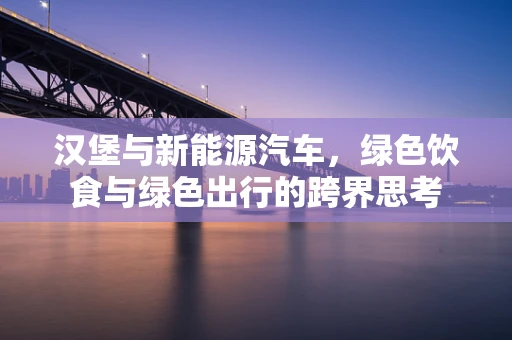 汉堡与新能源汽车，绿色饮食与绿色出行的跨界思考