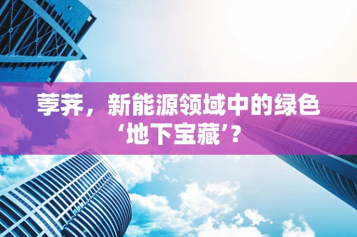 荸荠，新能源领域中的绿色‘地下宝藏’？
