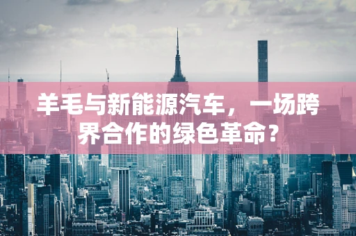 羊毛与新能源汽车，一场跨界合作的绿色革命？