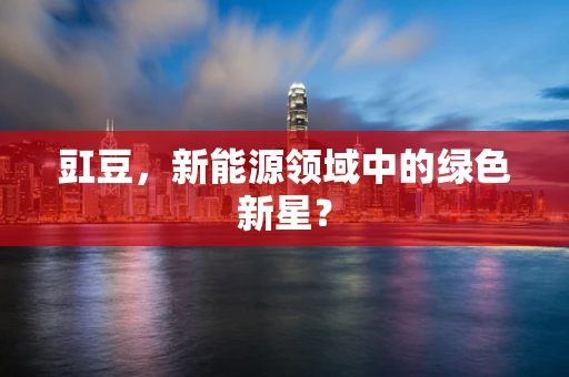 豇豆，新能源领域中的绿色新星？