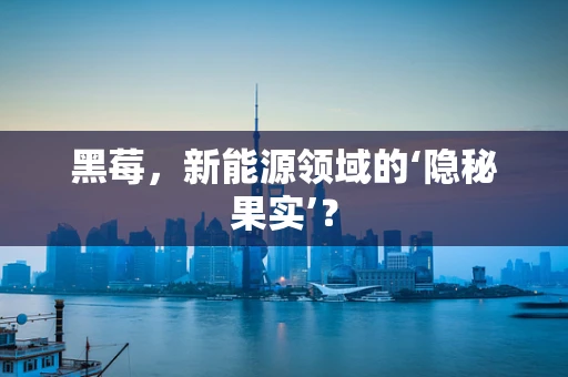 黑莓，新能源领域的‘隐秘果实’？