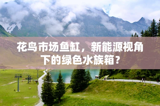 花鸟市场鱼缸，新能源视角下的绿色水族箱？