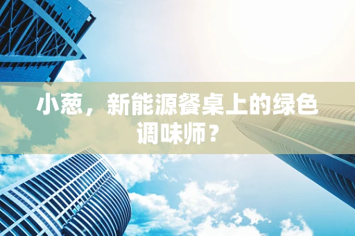小葱，新能源餐桌上的绿色调味师？